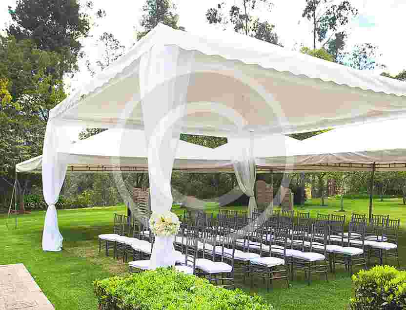 Perfect Choice For Your Wedding